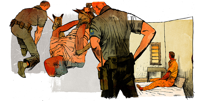 Illustration of police officers and police dogs standing over prisoner on the ground